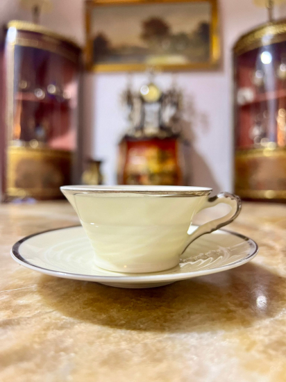 ÇEKOSLAVAK AYKIRI FORM FİNCAN