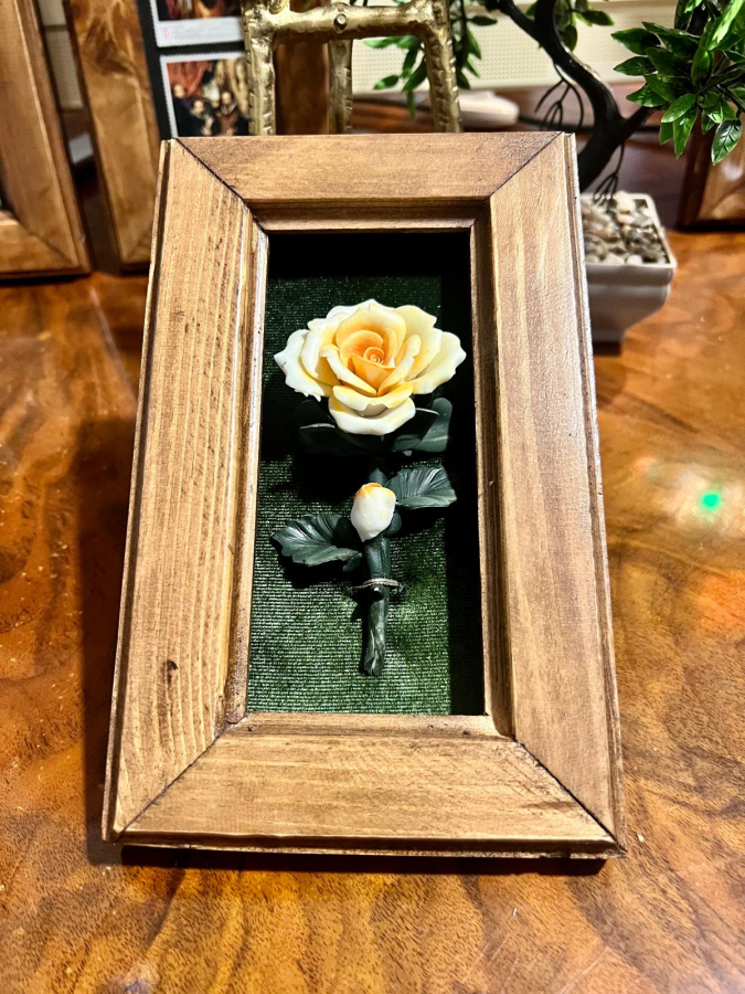 CAPİDEMONTE MODEL TABLO 