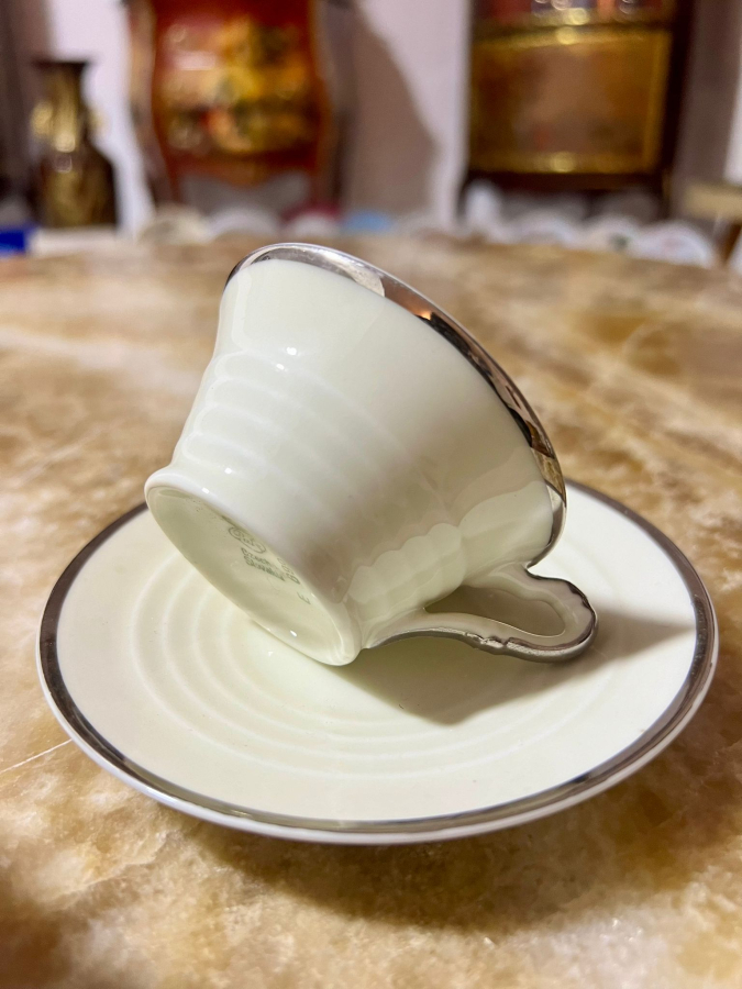 ÇEKOSLAVAK AYKIRI FORM FİNCAN