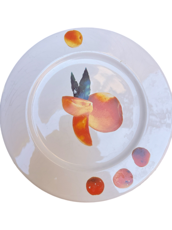 ASA SELECTION “TRATTORIA” ALMAN YAPIMI PORSELEN TABAK ÇİFTİ