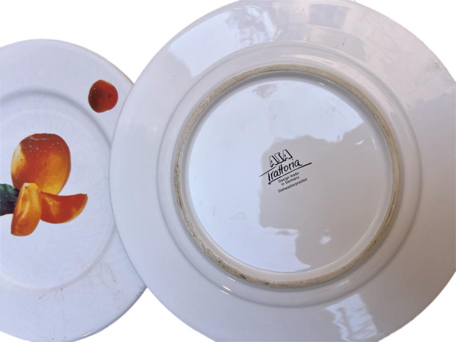 ASA SELECTION “TRATTORIA” ALMAN YAPIMI PORSELEN TABAK ÇİFTİ